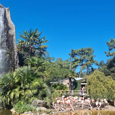 別荘 Piscine Interieure *